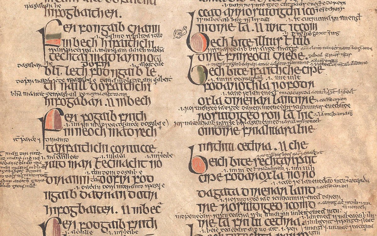 تاریخ علم حقوق (12): قوانین بِرِهون‌ها در ایرلند